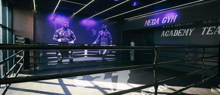 Фото отеля ibis Styles Batumi