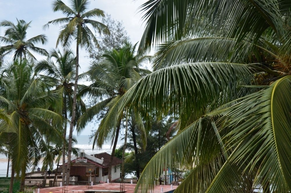 Guest House «Thomas Beach Guest House» фото 30
