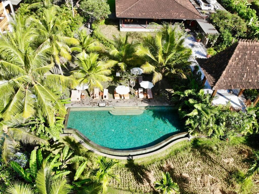 Alaya Resort Ubud фото 54