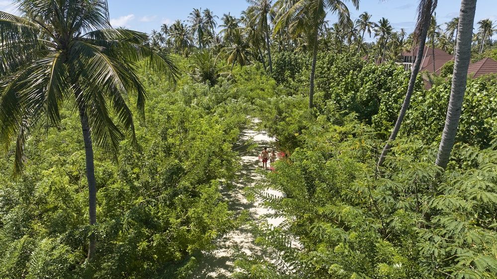 Sun Siyam Romance (Adults Only) фото 79