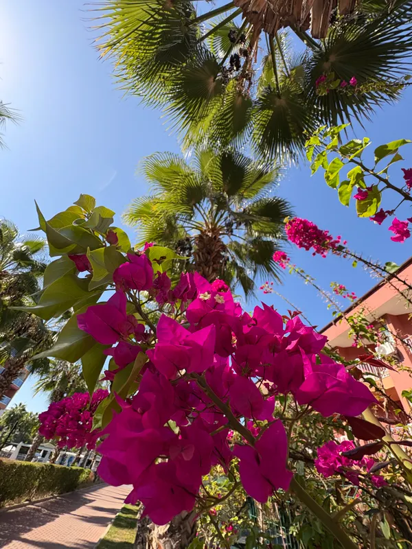Club Side Coast Hotel фото 62