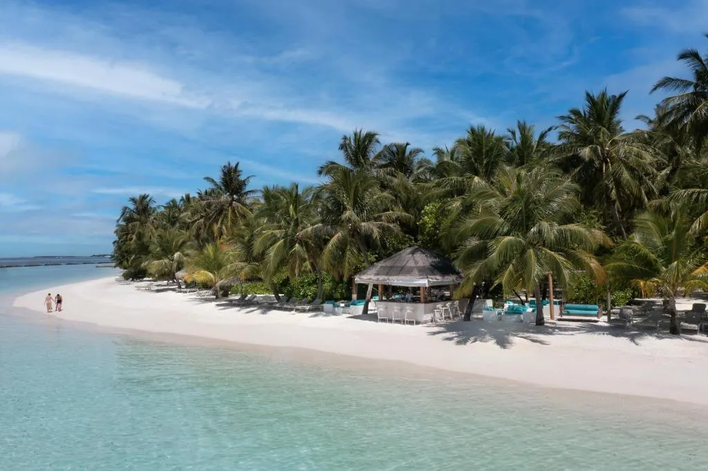 Niva Kurumba Maldives фото 41