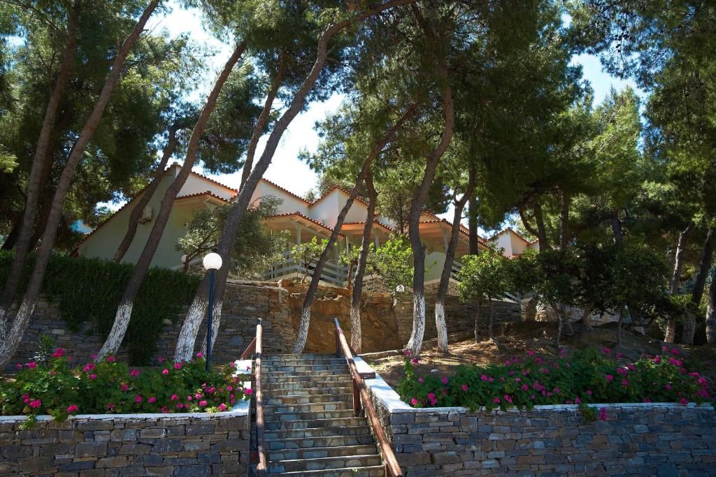 Venus Beach Hotel фото 10