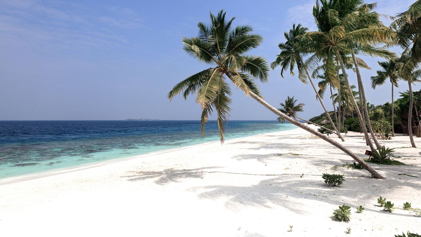 Reethi Faru Resort фото 44