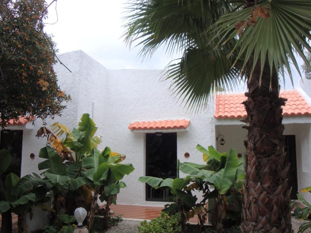 Oasis Hotel Bungalows фото 43
