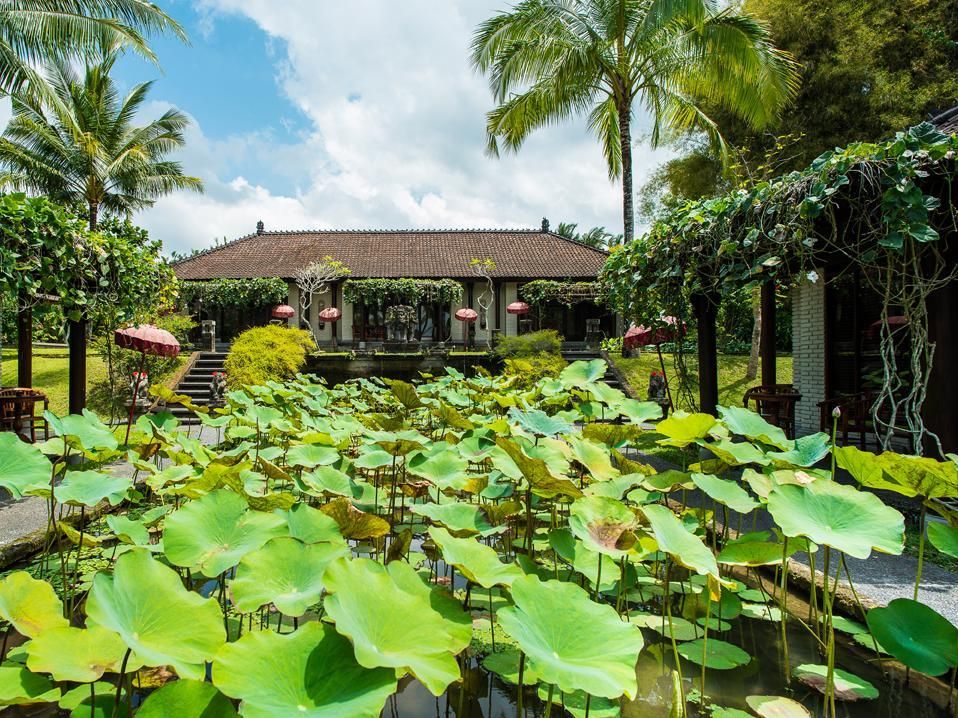 Tanah Gajah, a Resort by Hadiprana фото 15
