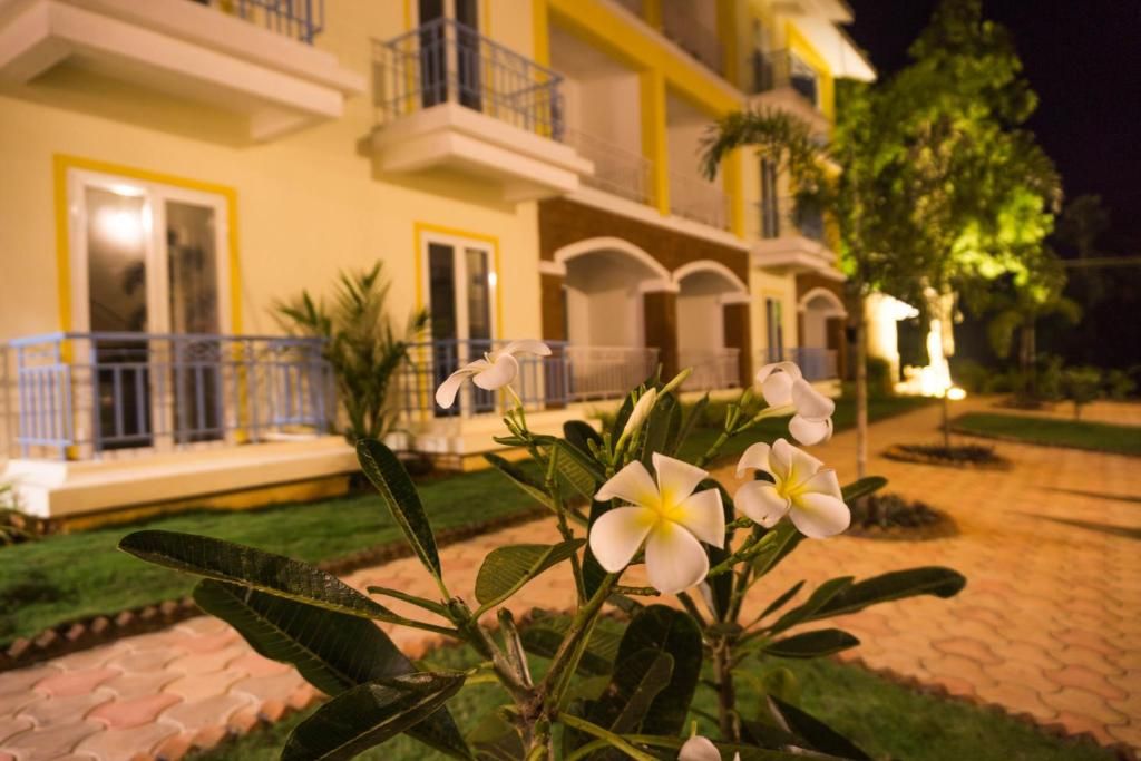 Passions de Goa фото 38