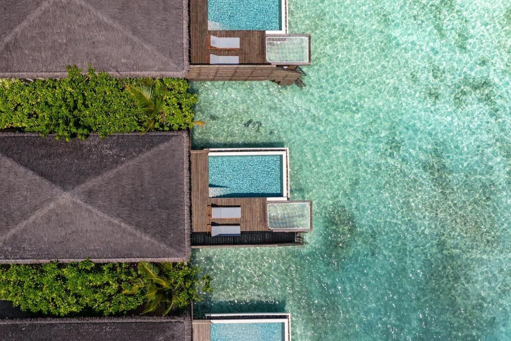 dusitD2 Feydhoo Maldives фото 31