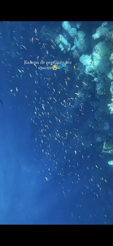 Rixos Radamis Blue Planet фото 81