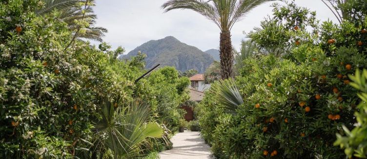 Фото отеля Azur Hotel