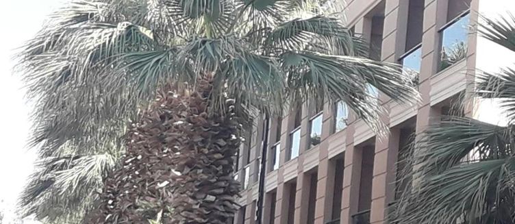 Фото отеля Nazar Hotel