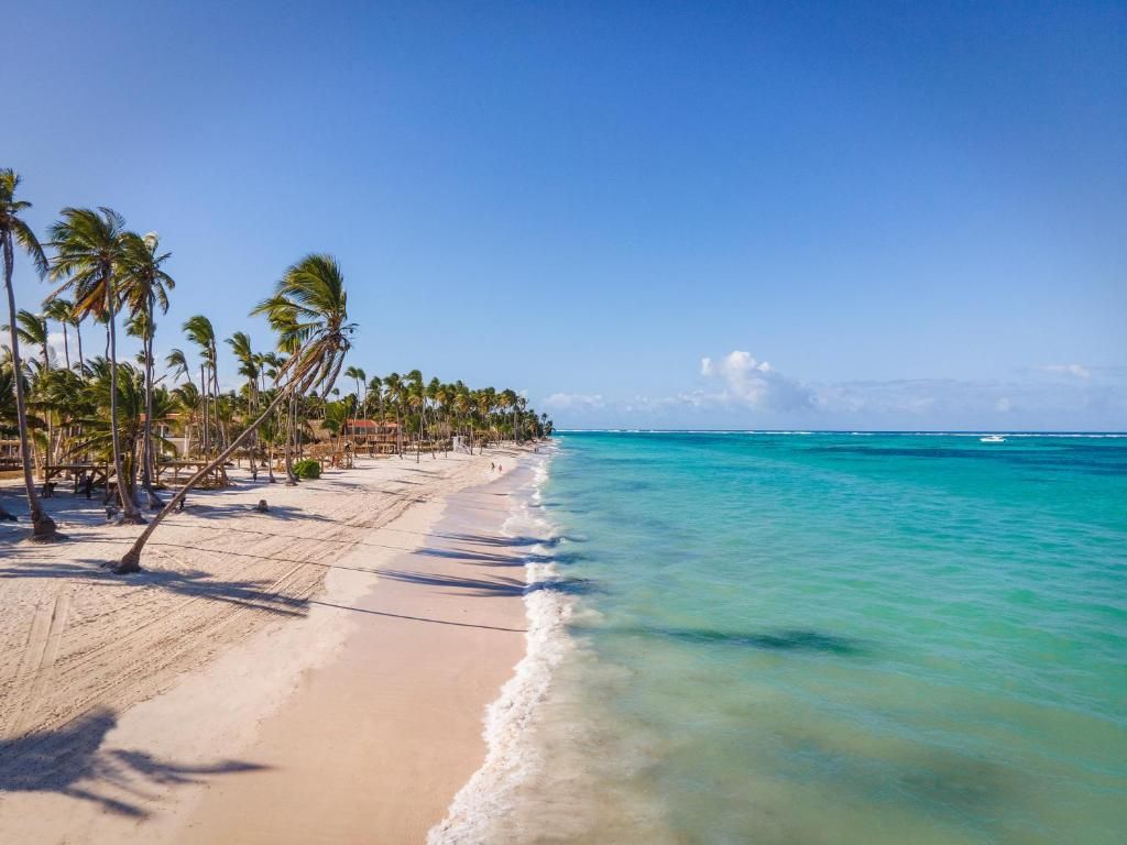 Jewel Palm Beach фото 69
