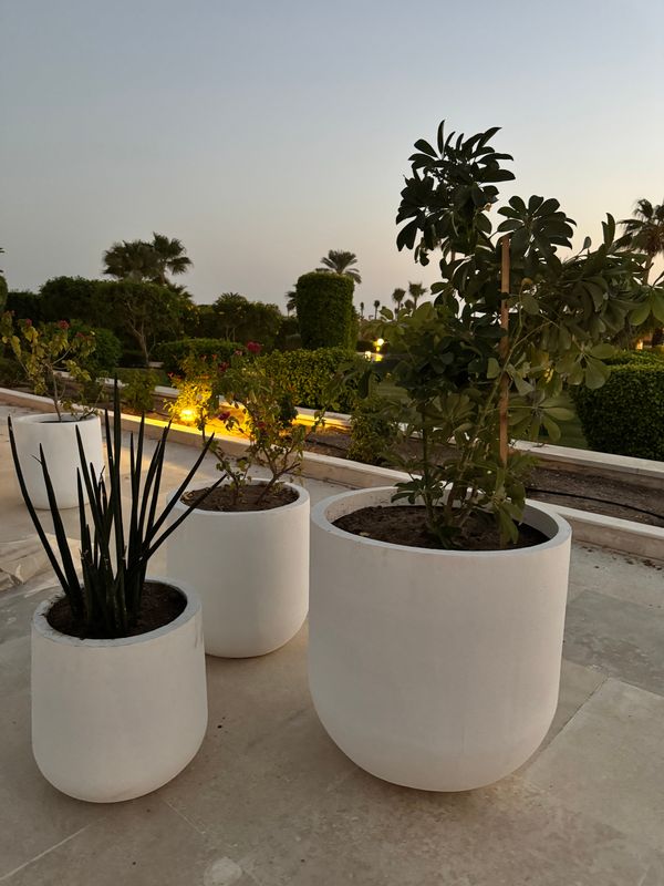 Sheraton Soma Bay Resort фото 67