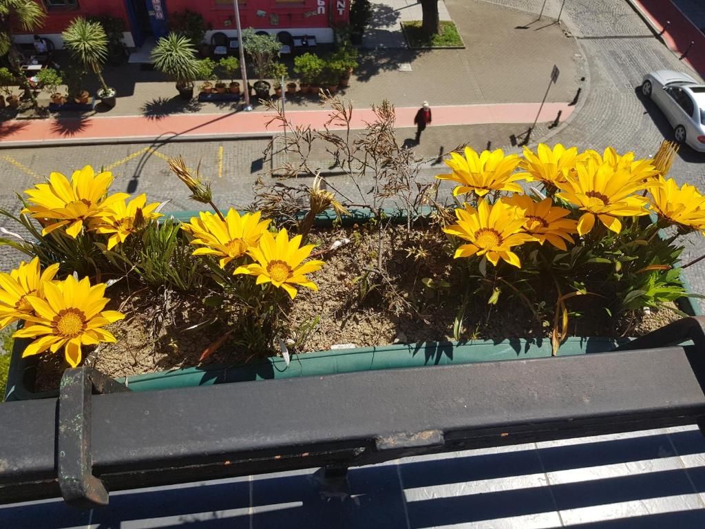 Irise Hotel фото 19