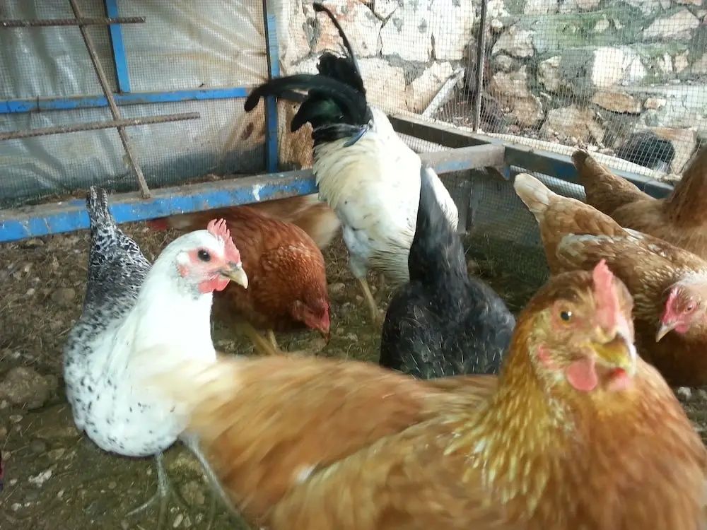 Beymelek Taş Evler фото 9