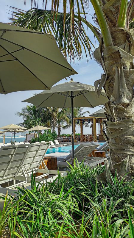 Movenpick Resort Al Marjan Island фото 44