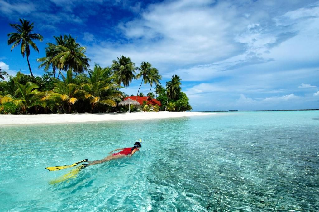 Niva Kurumba Maldives фото 45