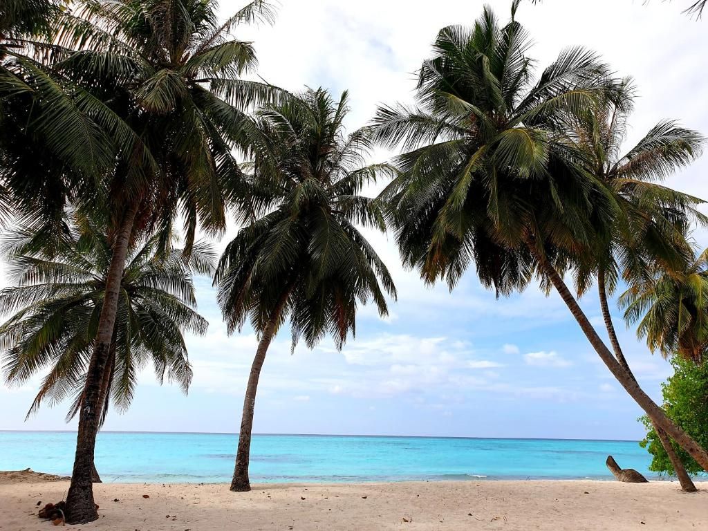 Island Luxury Boutique Hotel - Fulhadhoo фото 24