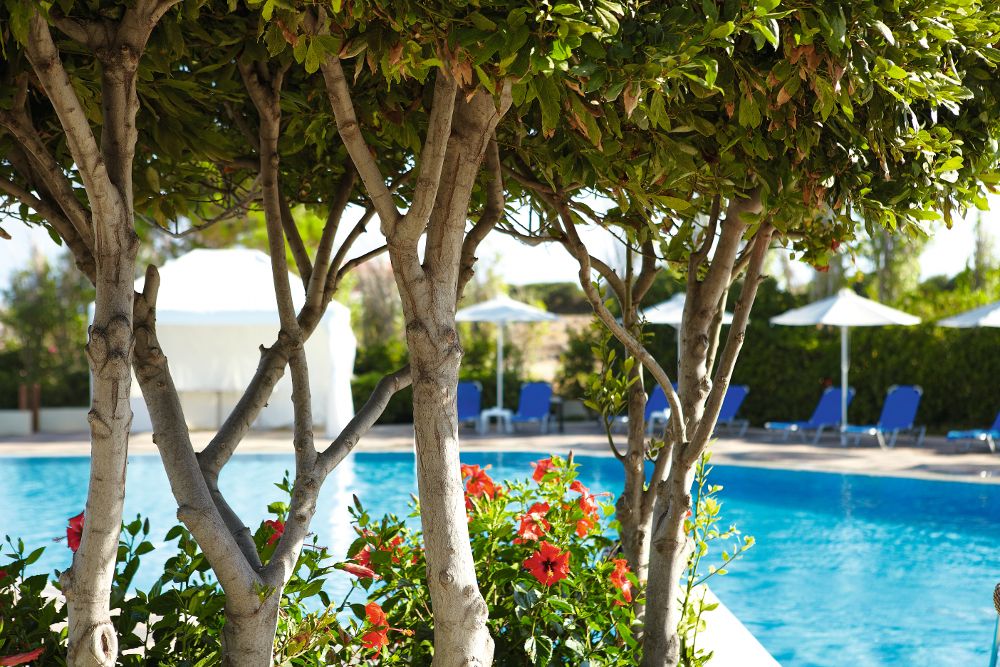 Grecotel Meli Palace фото 8
