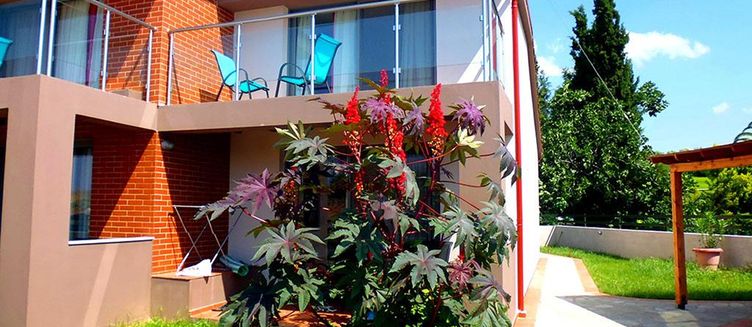 Фото отеля Village Mare Residence