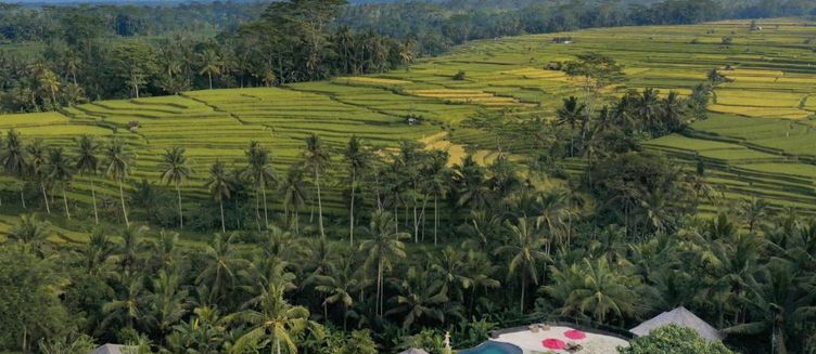 Фото отеля Puri Sebali Resort