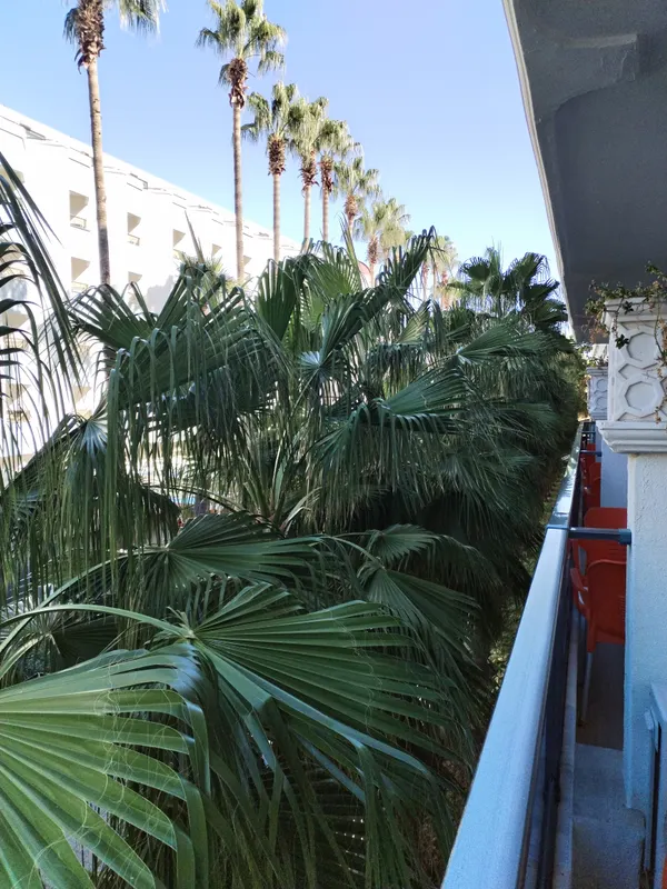 Letoile Beach Hotel фото 62