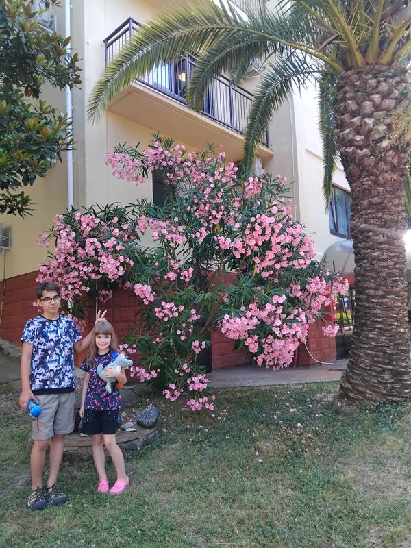 Оздоровительный комплекс «Дивный» фото 182