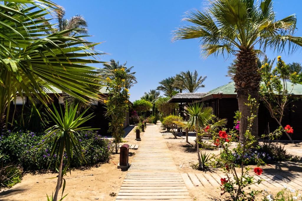 Abu Dabbab Lodge фото 31