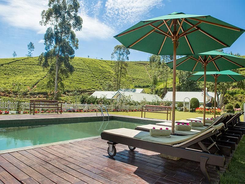 Amaya Langdale Nuwara Eliya фото 14