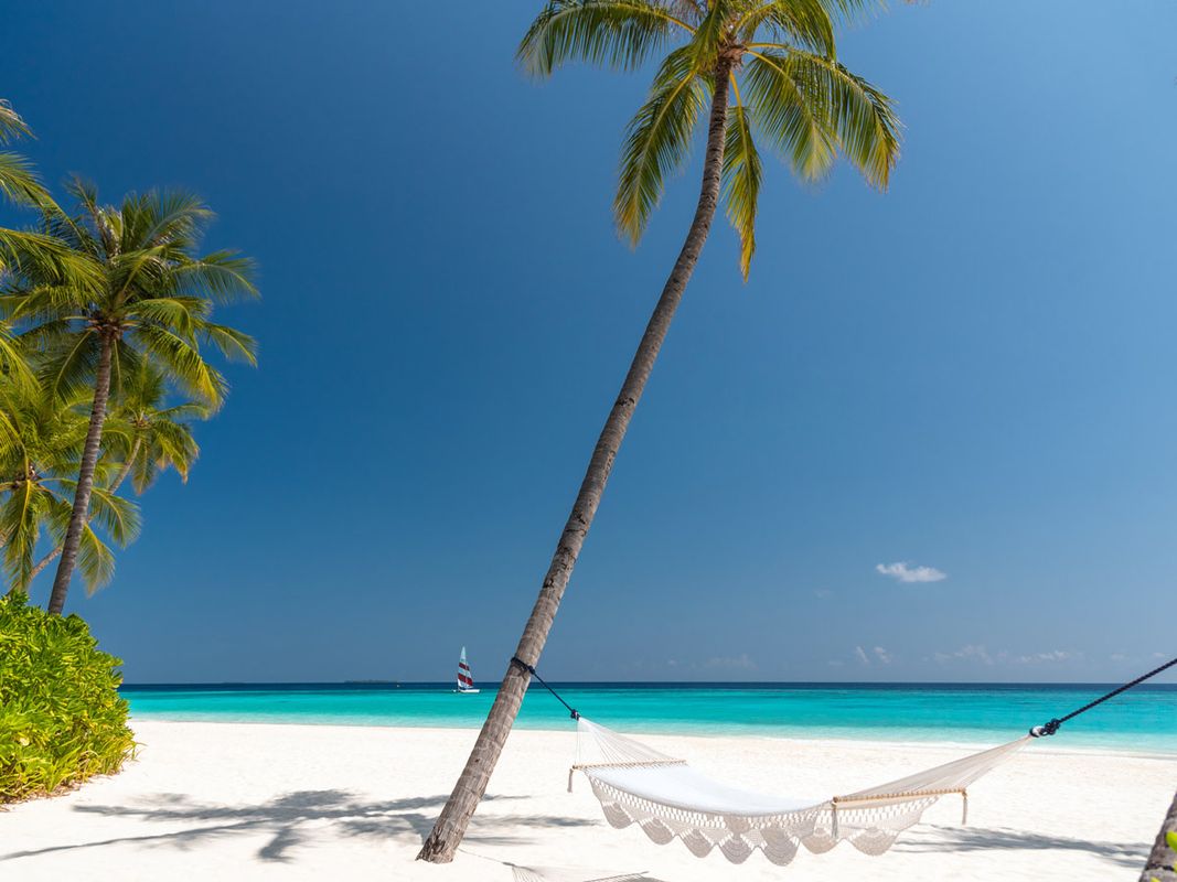 Velaa Private Island фото 9