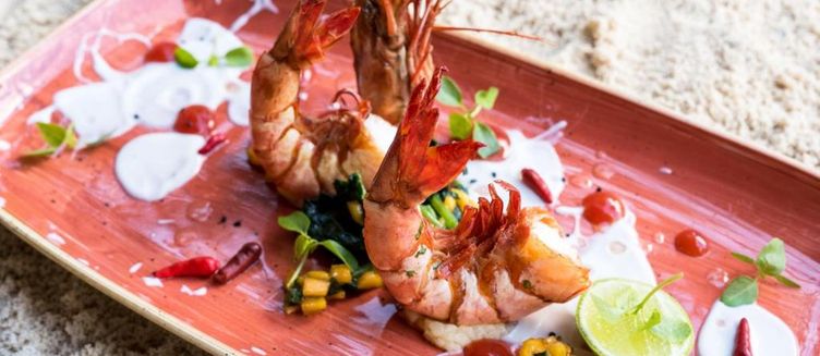 Фото отеля Tikitam Palms