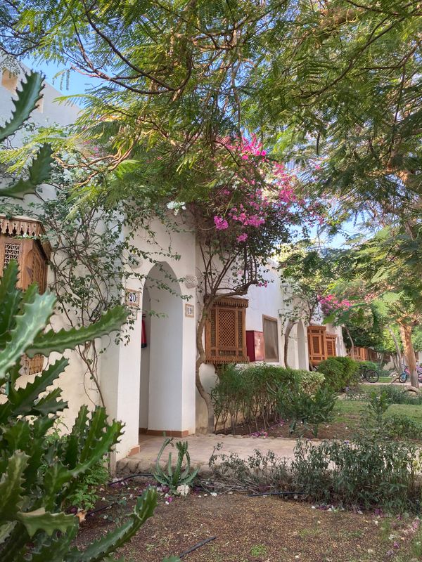 Domina Coral Bay Harem Deluxe фото 106