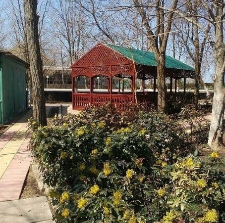 Пансионат «Азов Шинкар» фото 37