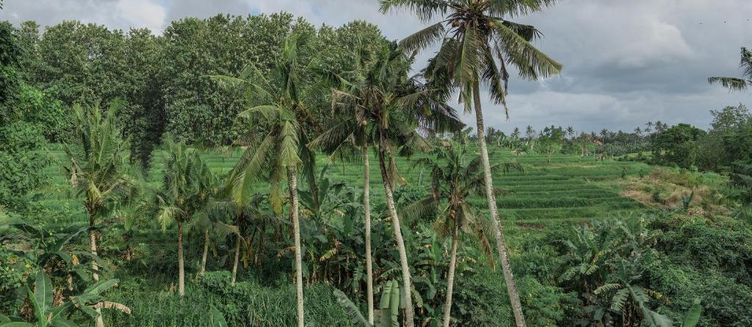 Фото отеля Moon Rock Villas by Ribas