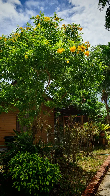 Phuket Golden Sand Inn фото 21
