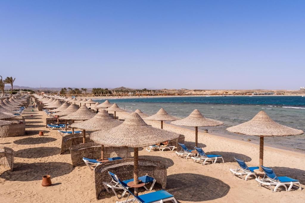 Malikia Resort Abu Dabbab фото 33