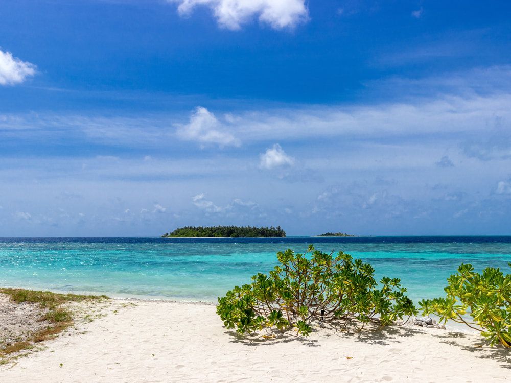 Guest House ««Plumeria Maldives» Guest House» фото 77