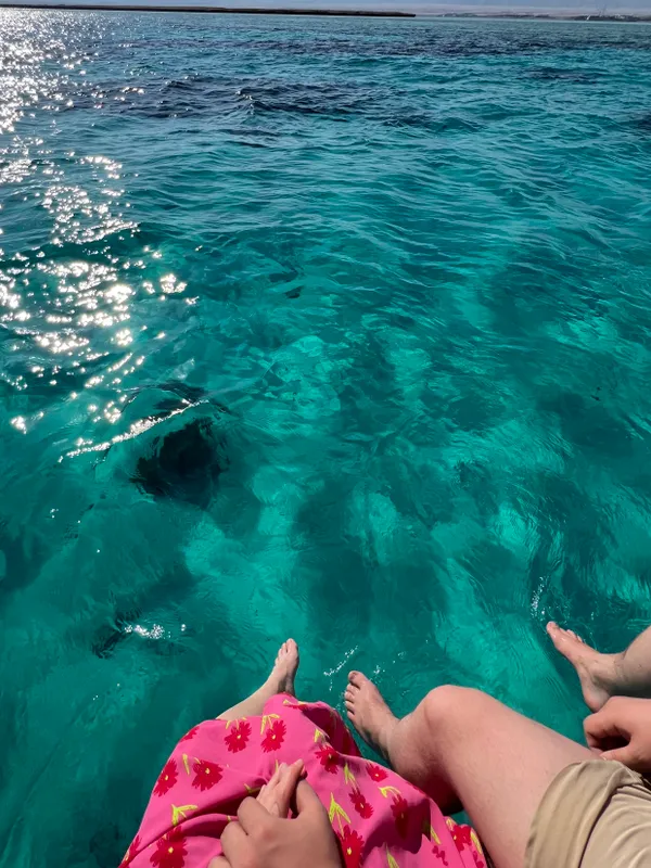 Sentido Caribbean World Resort Soma Bay фото 108