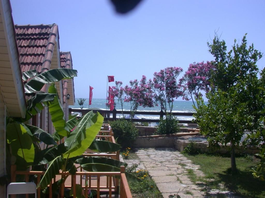 Clover Magic Nova Beach Hotel фото 32