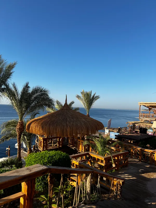 Pickalbatros Golf Beach Resort фото 106
