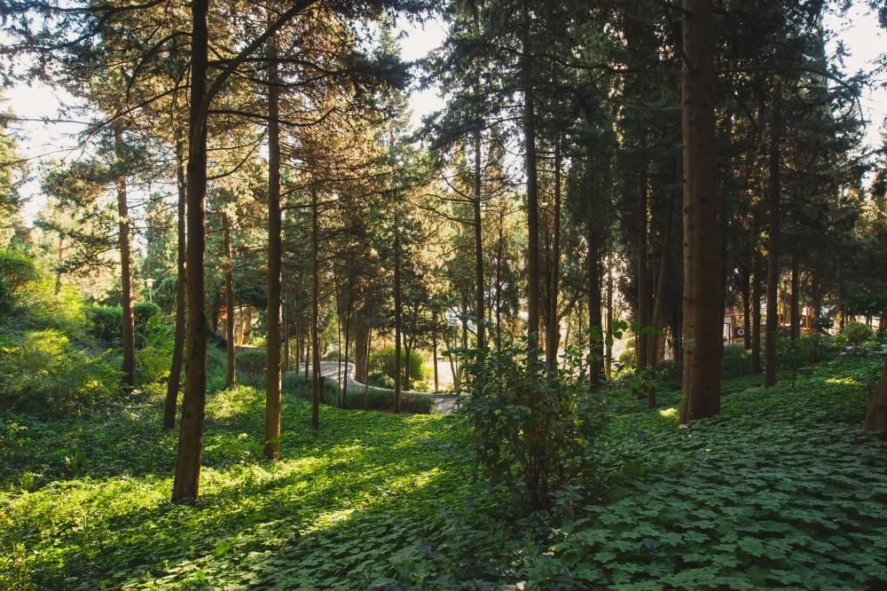 Wellness SPA Отель Море фото 94
