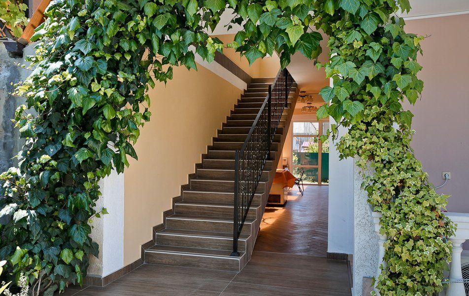 Гостевой дом «Гостевой дом «Магнолия»» фото 8