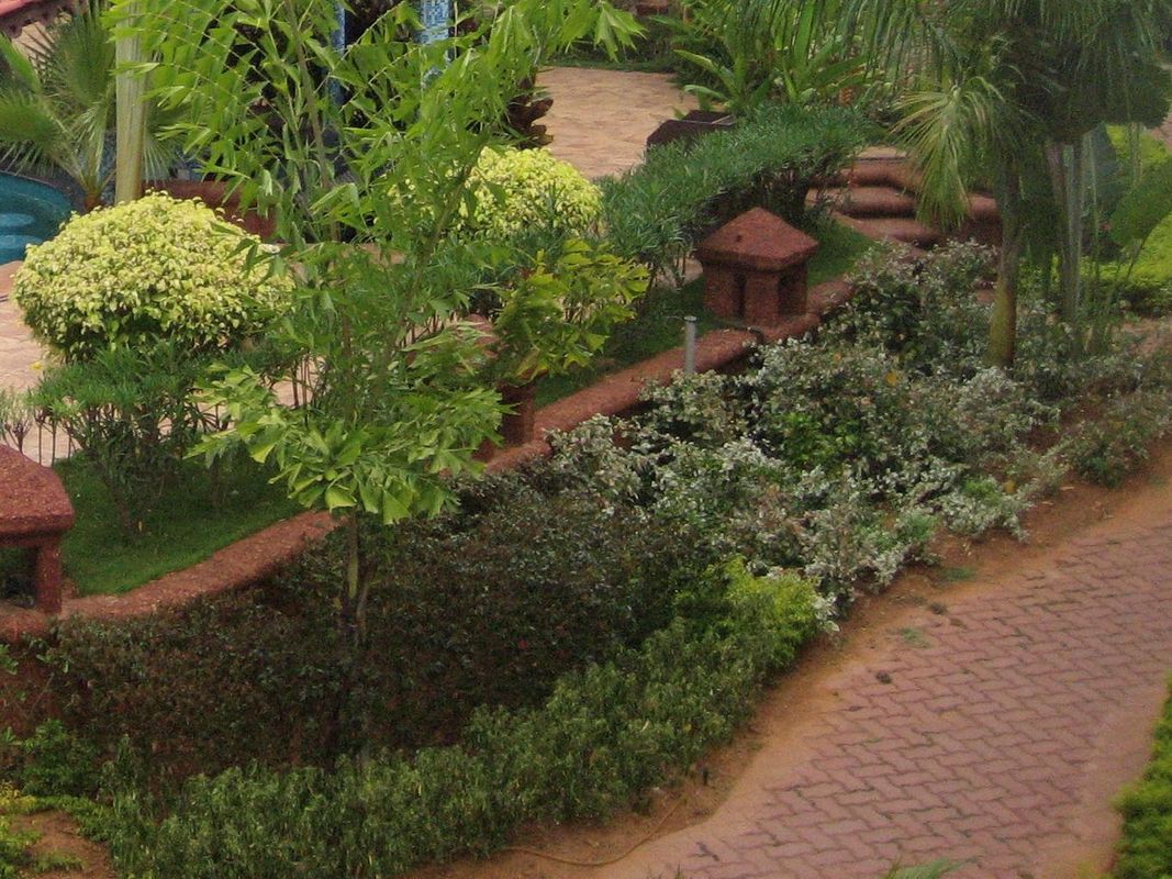 Country Clube De Goa фото 4