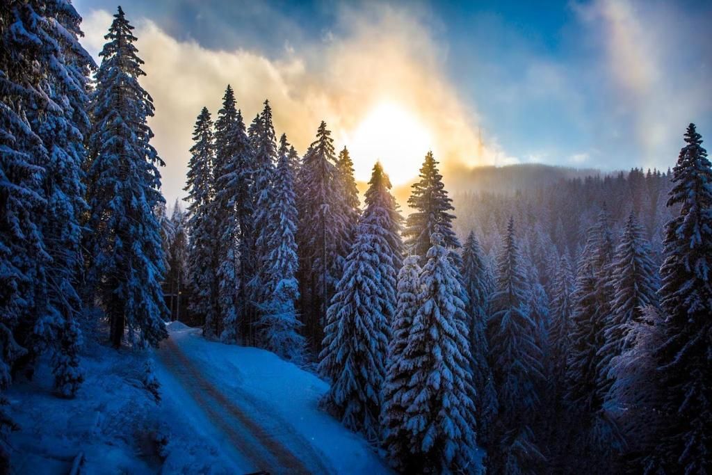 Sunny Hills Ski and Wellness фото 9
