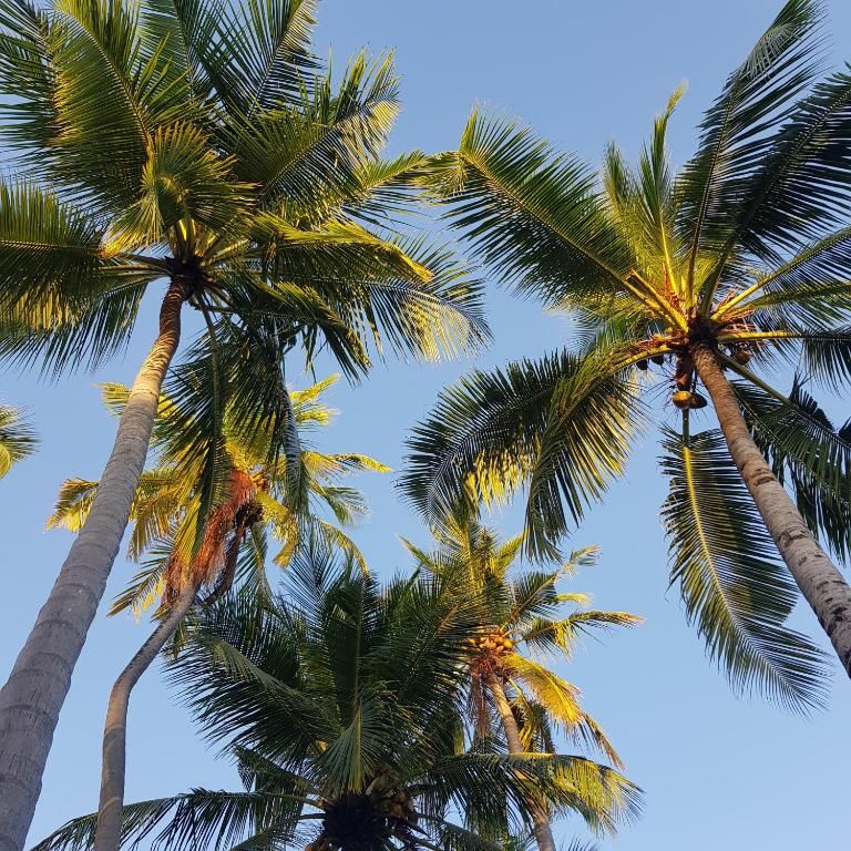 Vaali Island Escapes & Dive фото 33