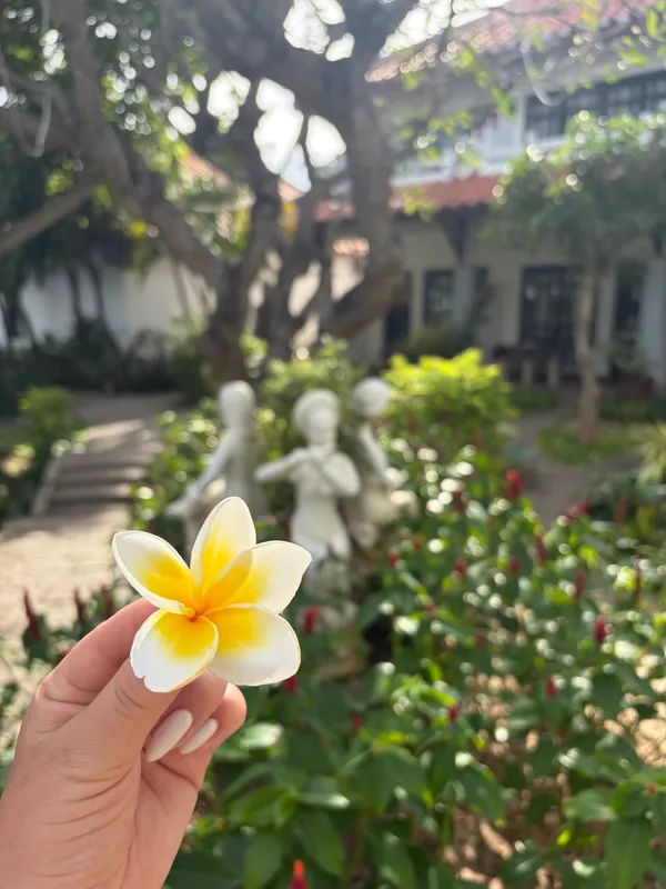Dynasty Muine Beach Resort фото 51