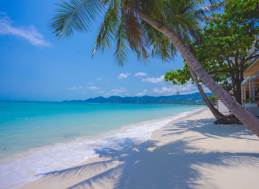 Chaweng Regent Beach Resort фото 32