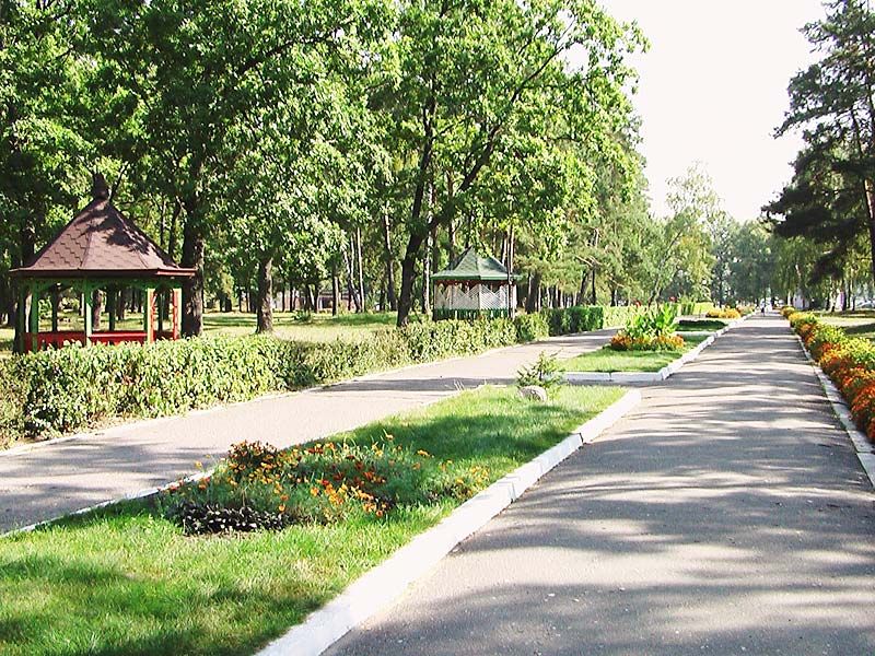Санаторий «Алеся» фото 7