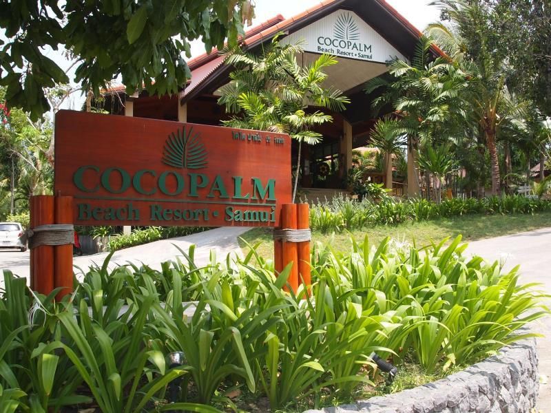 Coco Palm Beach Resort фото 25