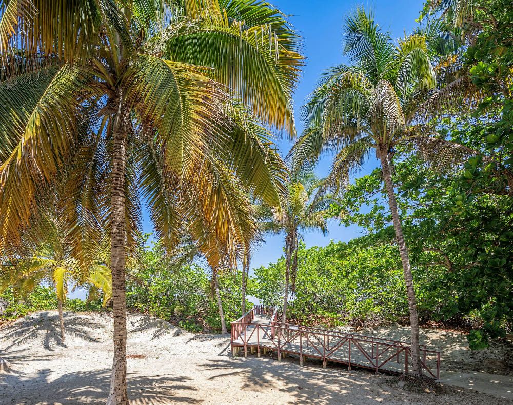 Sol Caribe Beach фото 43